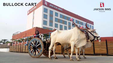 Bullock Cart